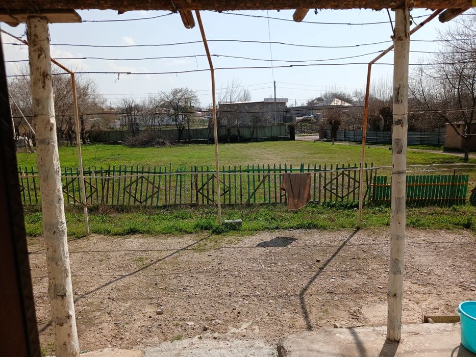 Дом сарыагаш дом