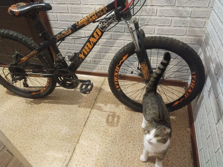 Продам велосипед срочно