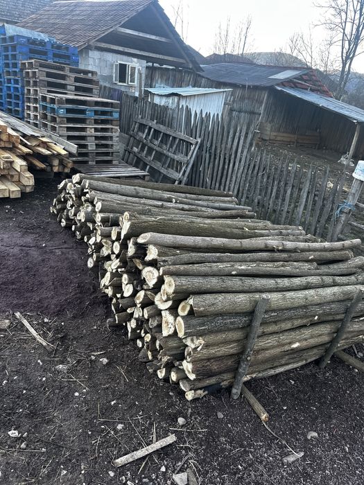 Vând parii de salcâm