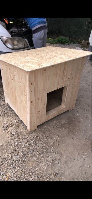 Cotet / cusca caine talie medie izolat