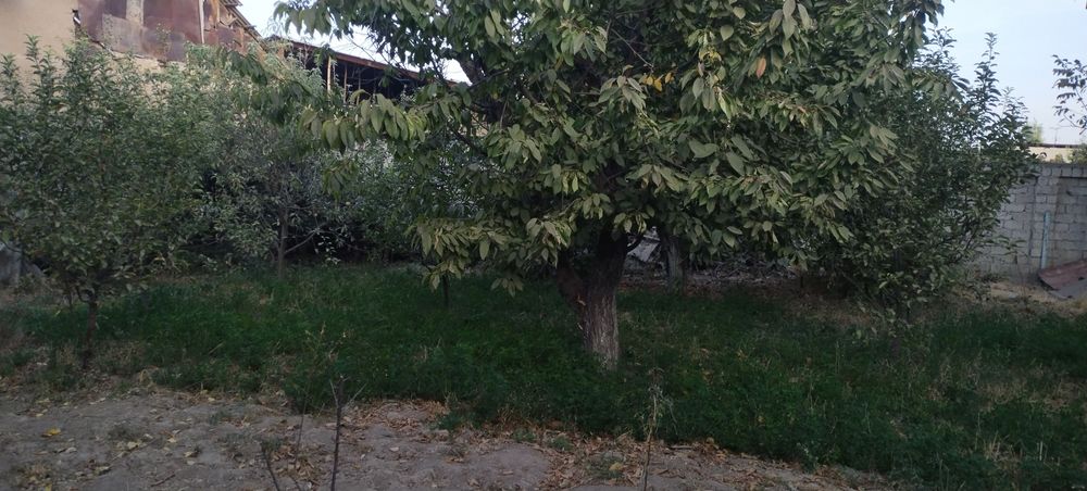 11.132 сотик Ҳовли сотилади