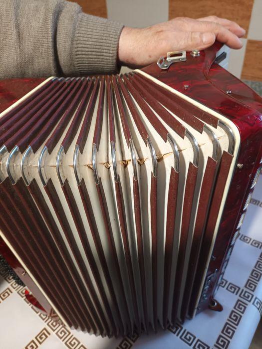 Vând acordeon parrot