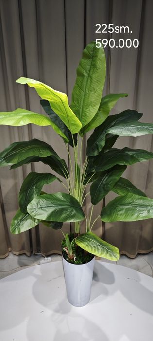 Suniy daraxt va gullar Искусственные цветы и деревья