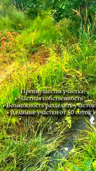 Земельный участок