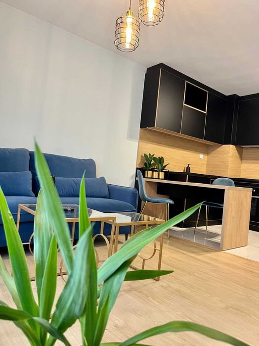 Тристаен Апартамент в Каменица 1