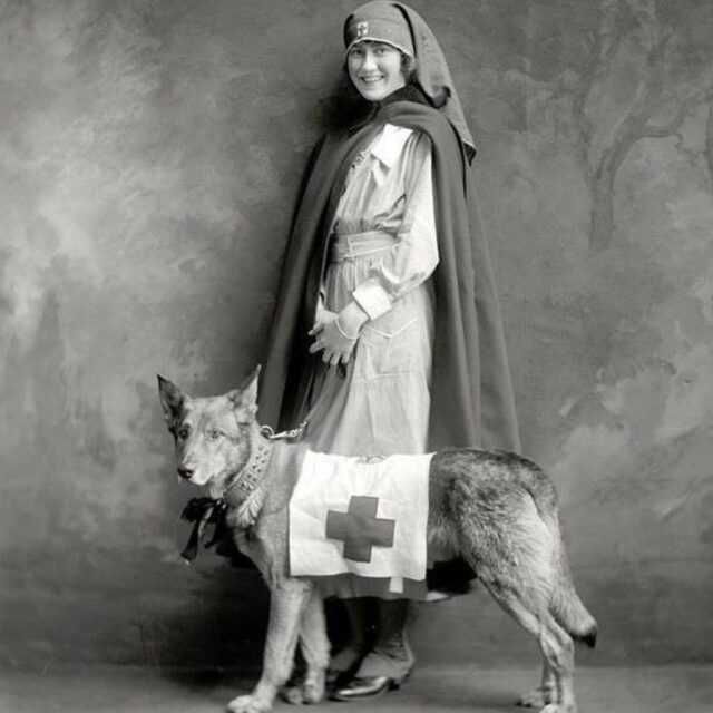 Bioptron Pro.1, ca nou, cu suport de masa,set 7 lentile color therapy