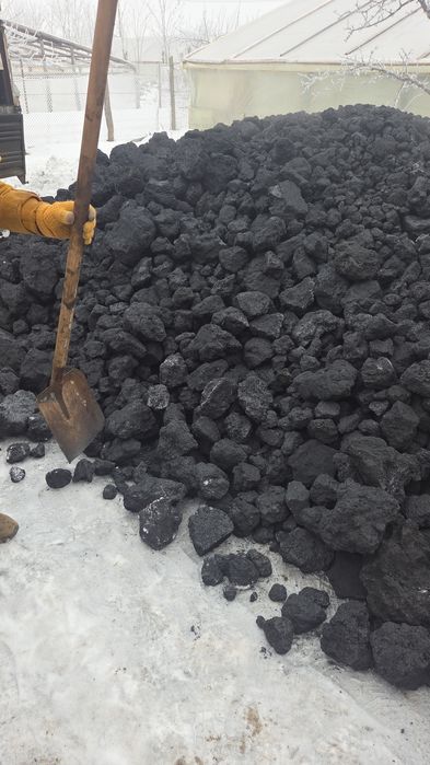 Transport cocs  petrolier