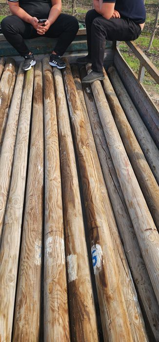 Тусин сасна беларусияники 100мм 130 мм диаметр