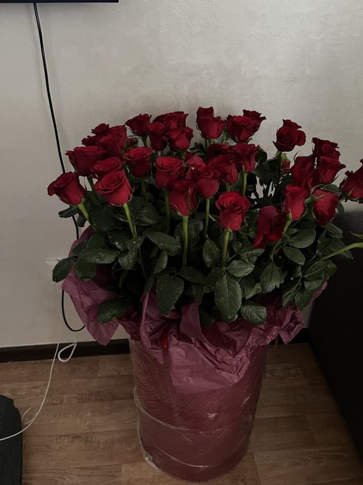 роза красный и белый