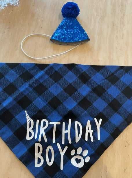 Нов дъждобран за куче