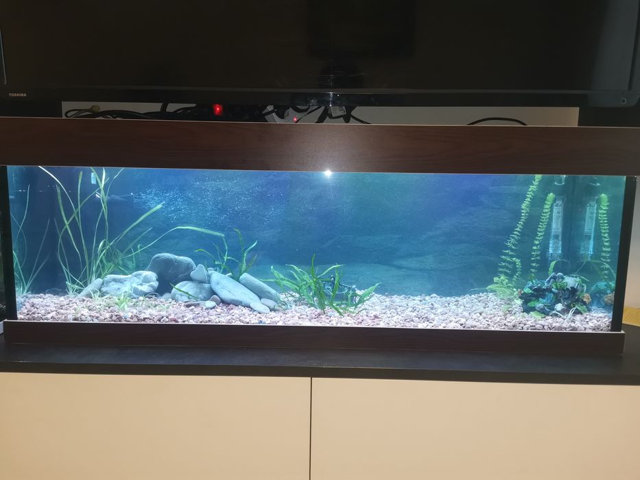 Аквариум 100литра +