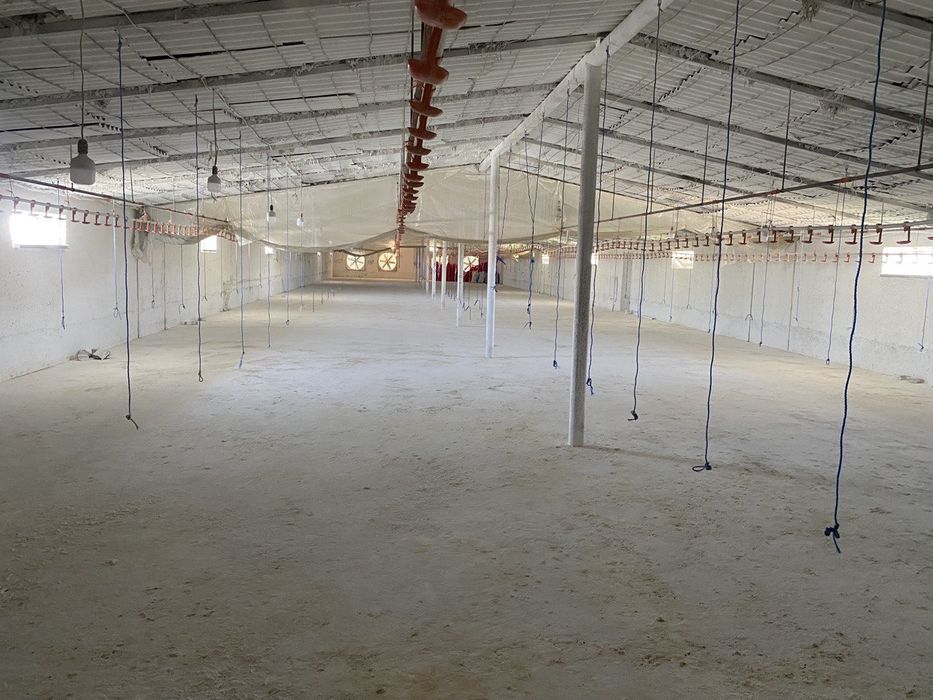 СРОЧНО продается помещение. Склад, Ферма, бизнес: 220 000 у.е ...