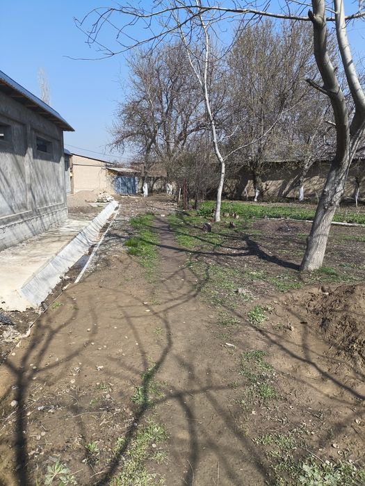 Hovli Sotiladi 15 sotih Gaz suv svet wi fi bor Fasad 21 m uzunligi 80