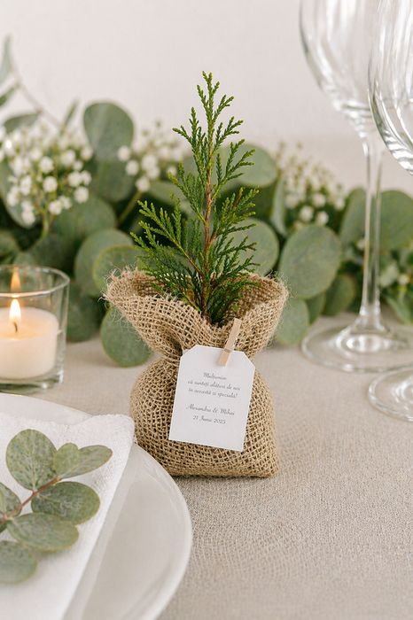 Marturii de nunta si botez copacei Thuja