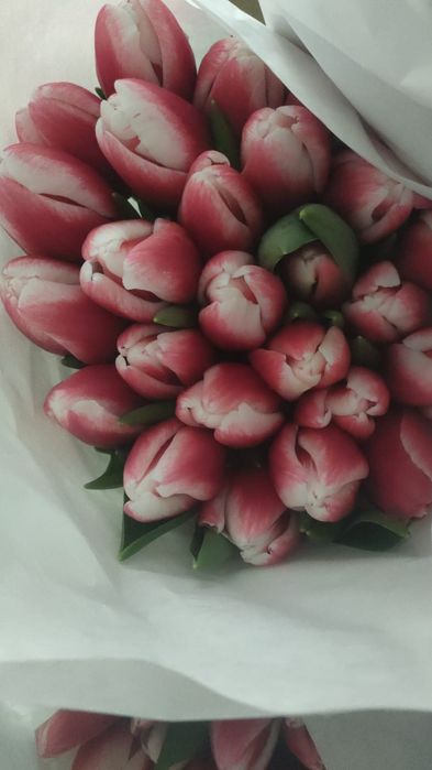 Тюльпаны и розы предзаказ