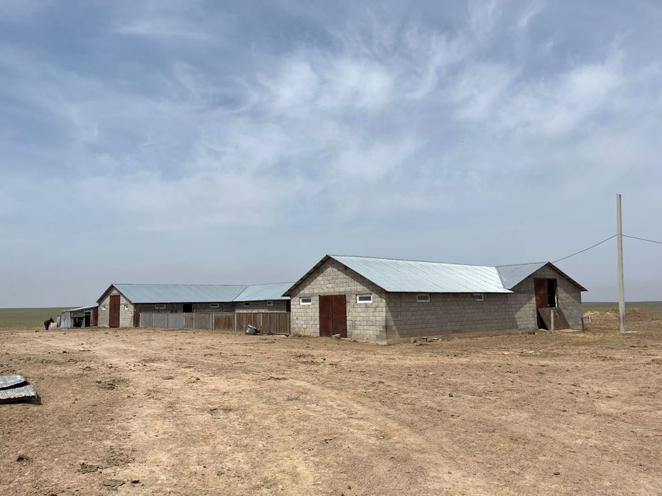 Продаестся КХ 1080 га в Жамбылском районе