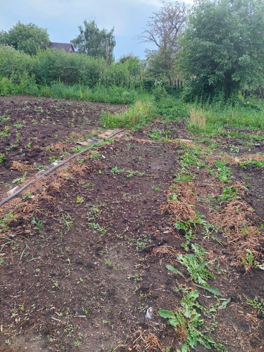 Продается Дача с участком для хозяйства