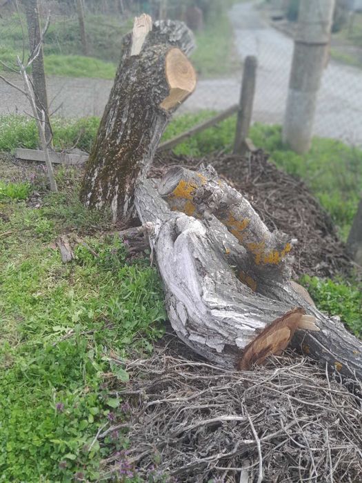 Дървен материал от орех