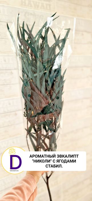 Сухоцветы стабил.цветы