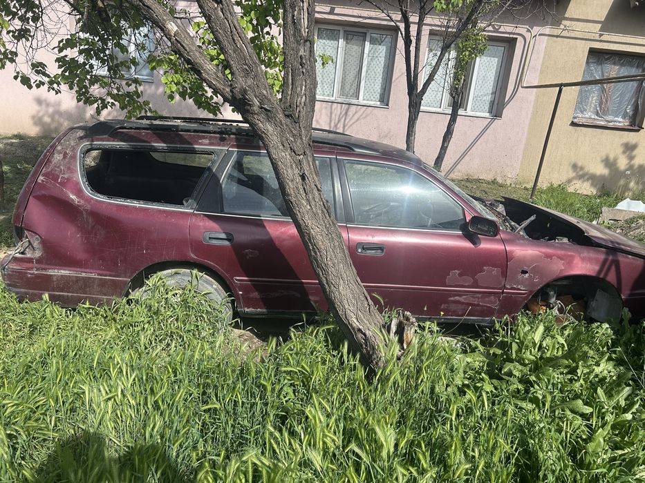 Toyota scepter тойота камри