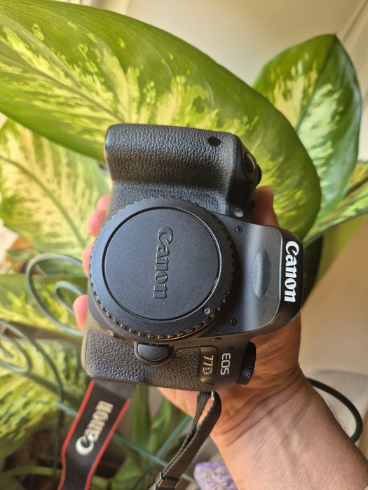 DSLR Canon 77D body