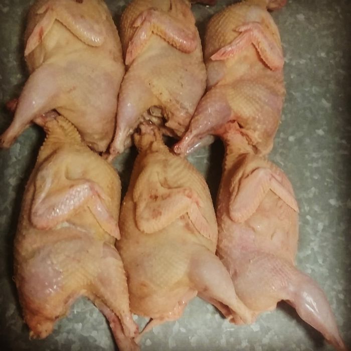 Бөдене жұмыртқасы мен еті 40