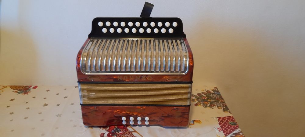Acordeon  armonica  Hohner Erica