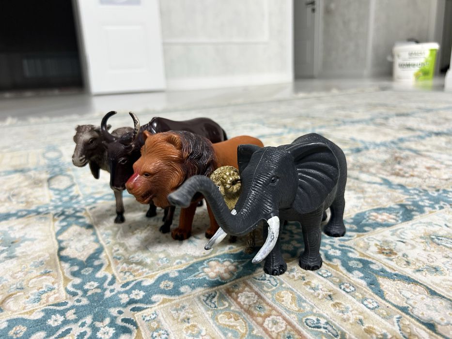 Жануарлар,ішінде 5жануар бар.