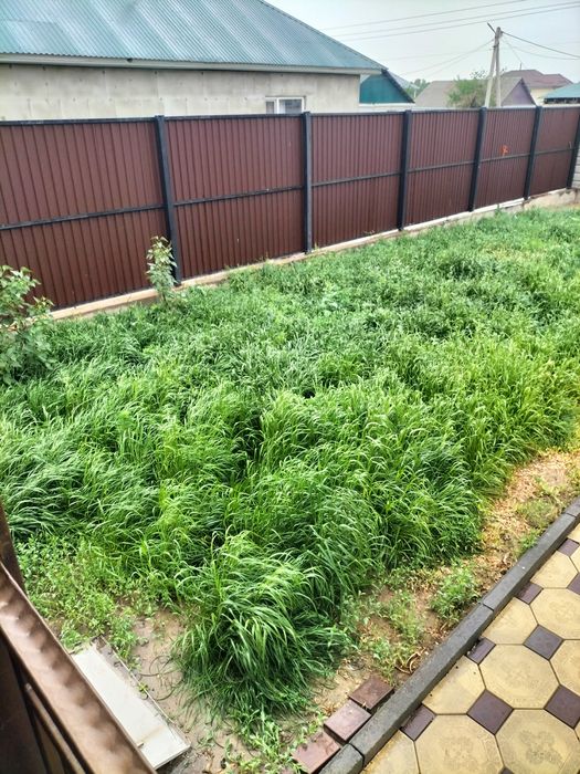 Газон продам самовывоз