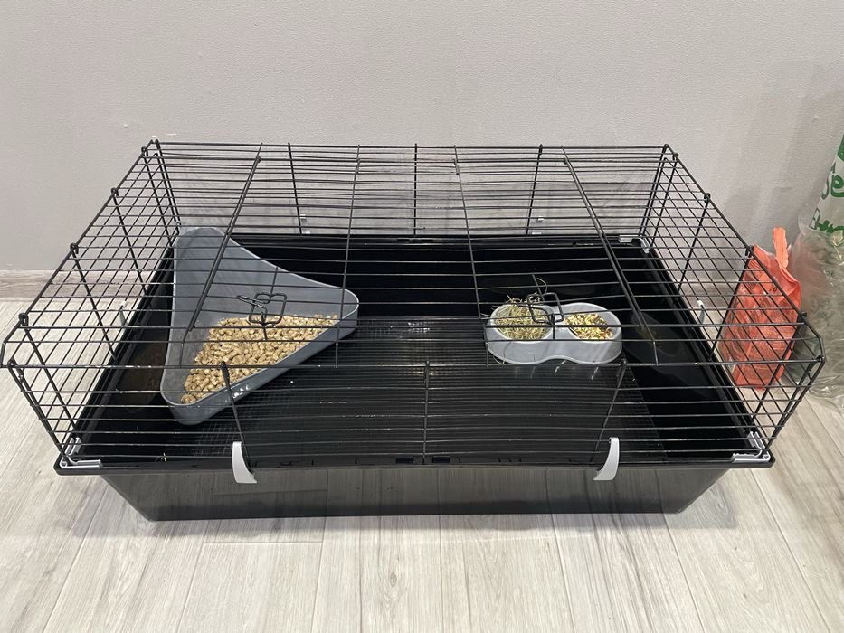 Кролик с клеткой