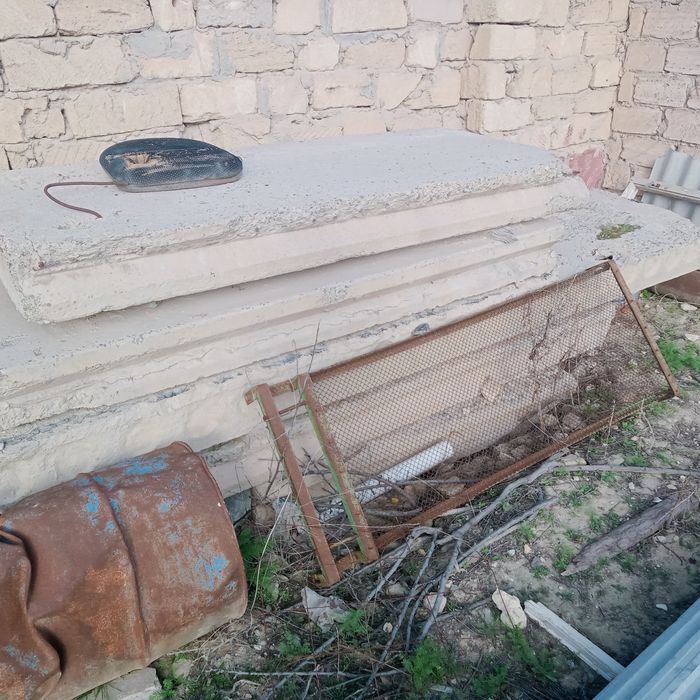 Бесплатно бесплатно