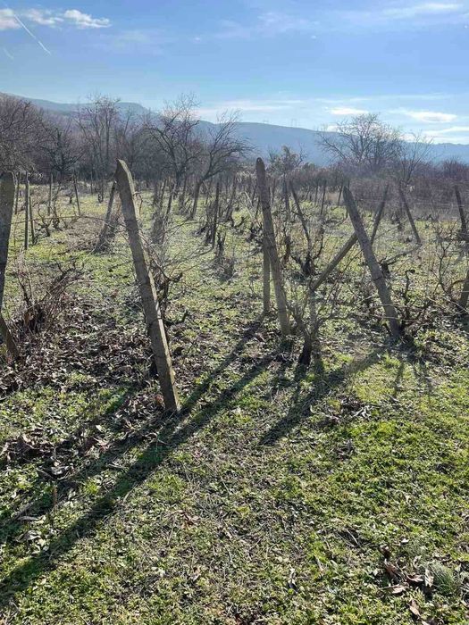 Вила в местността Ляската