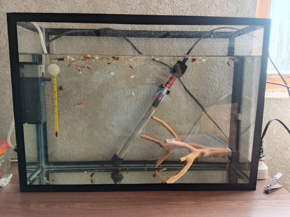 Продам аквариум, полный комплект с рыбками.