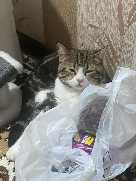 Ищем девочку для вязки