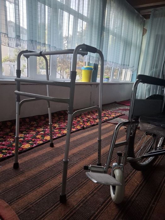 Nogironlik aravachasi va xodyonka