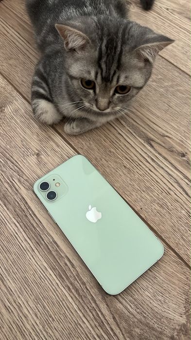Продам iphone 12 64Gb 75%акб