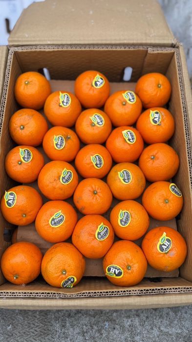 Мандарины Пакистан очень вкусные