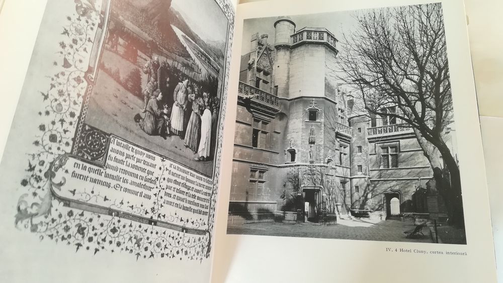 Istoria artei. Mihail Alpatov 1965