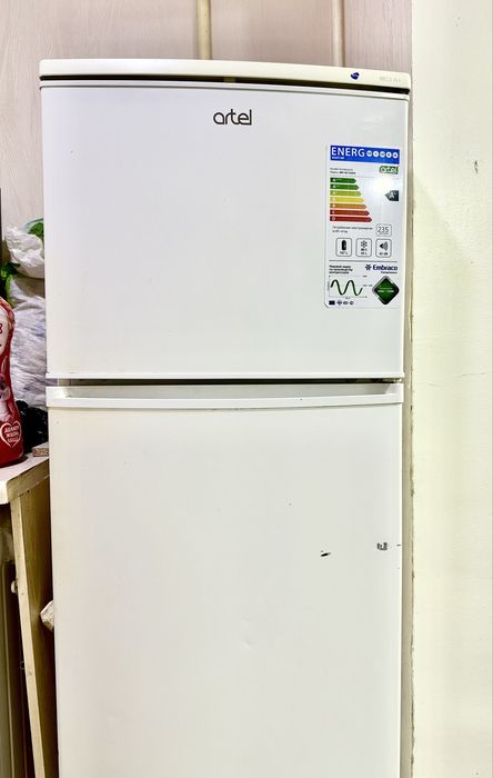 Artel Muzlatgich, Artel Xaladelnik