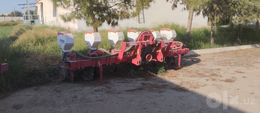 Cansa selka sotiladi holati ideal