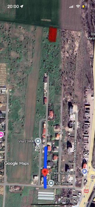 DE Vanzare tern steau de mare 2