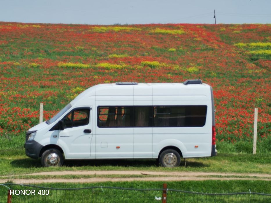 Zakaz mikroavtobus