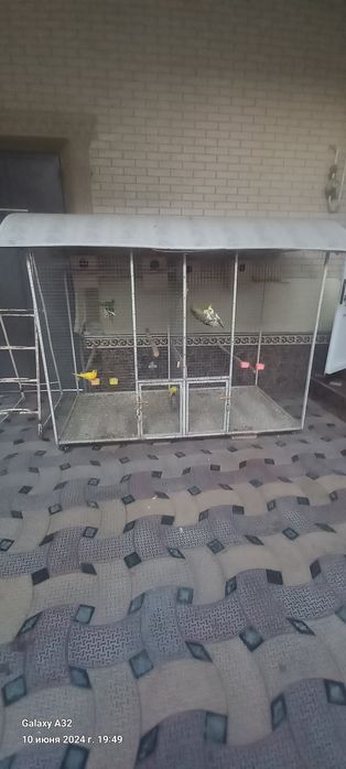 вальер с птитцами 2 пари карелла