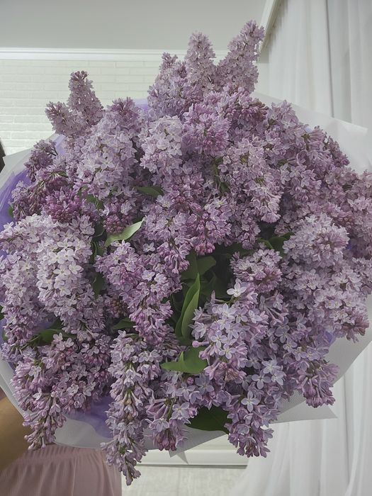 Большой букет сирени.