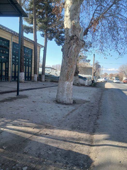 Bino ijaraga beriladi