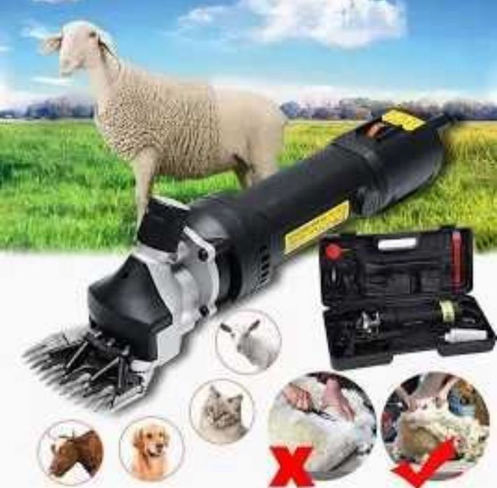 Masina profesionala de tuns oi,capre,caini talie mare,vaci
