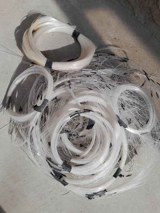 Звездное    небо