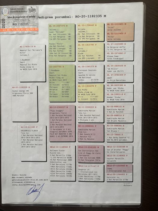 Porumbei fond maraton