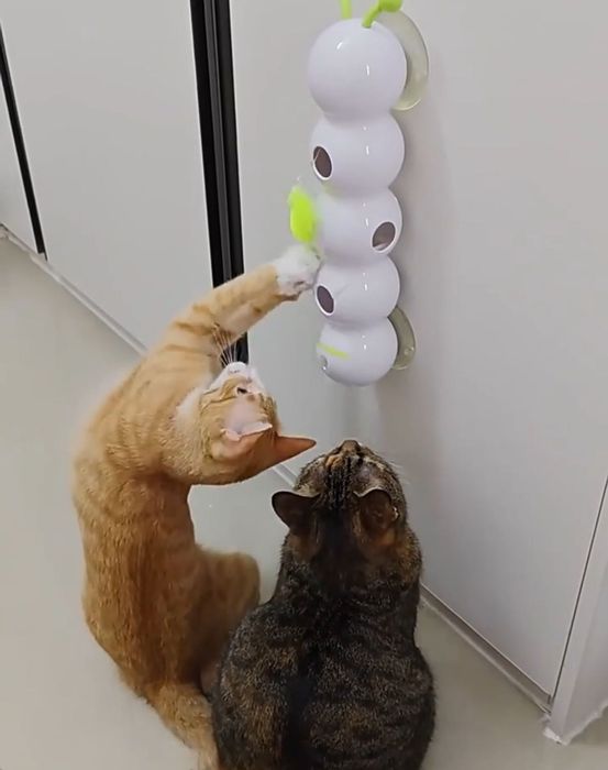 Игрушка для кошки