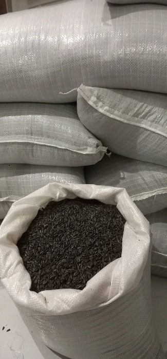 Продам пшеницы. Семечки...